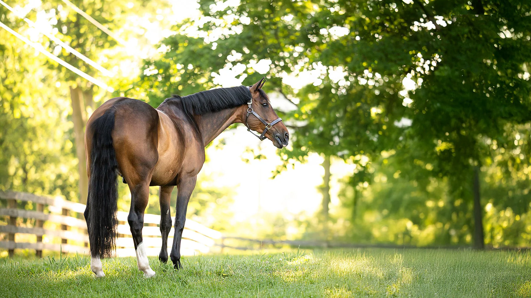Ride with Huntley Precision